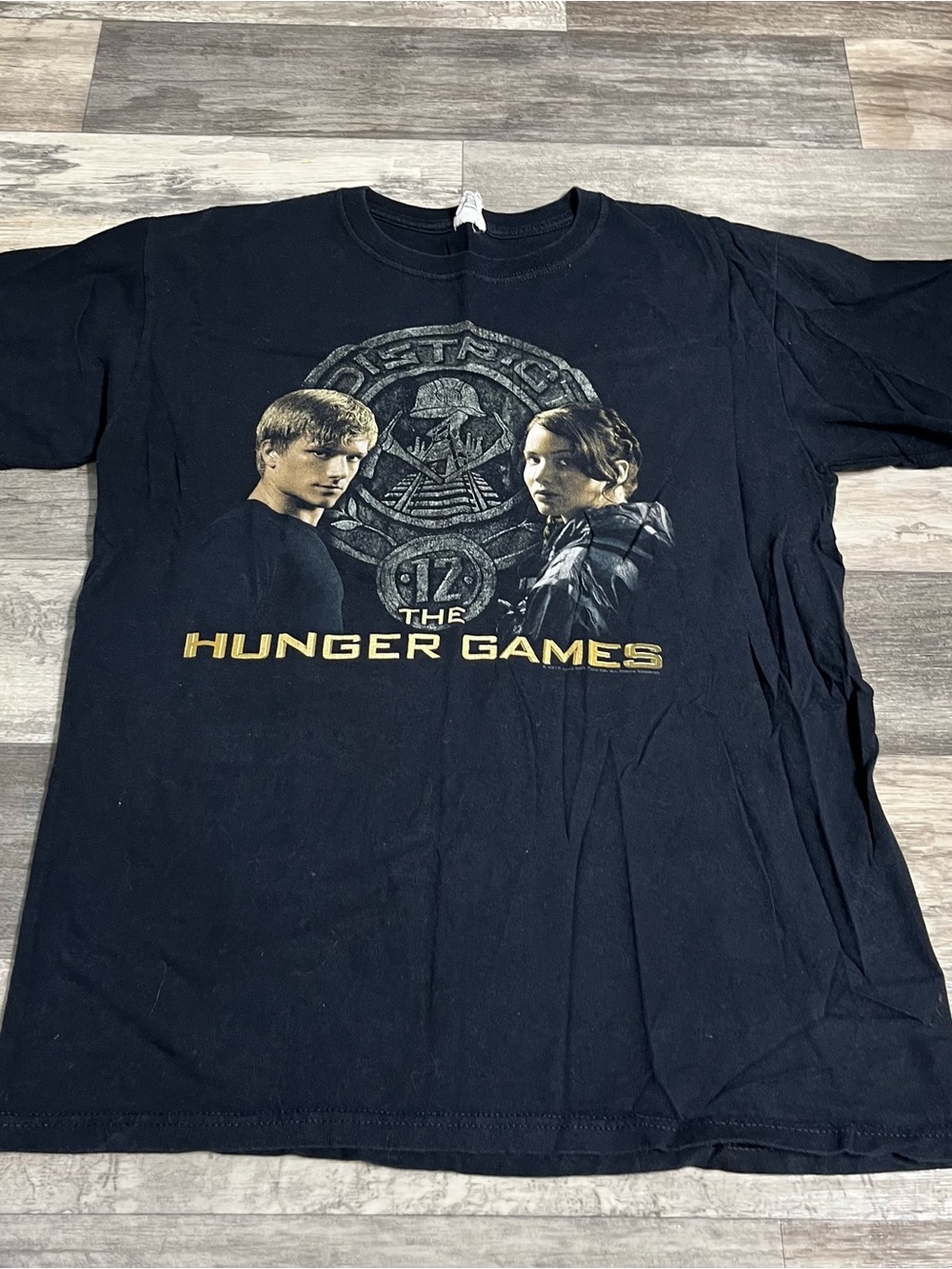 Anvil the hunger games graphic tee